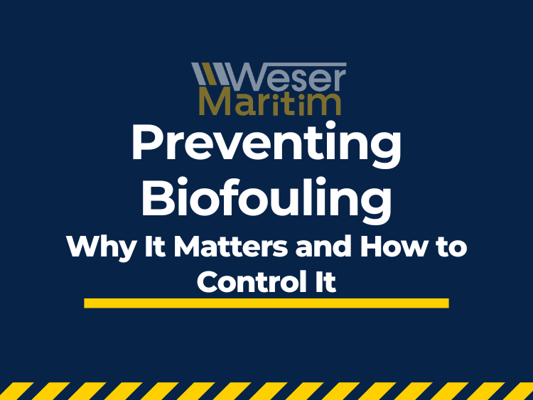 Weser Maritim - Preventing Biofouling: Why It Matters and How to Control It.